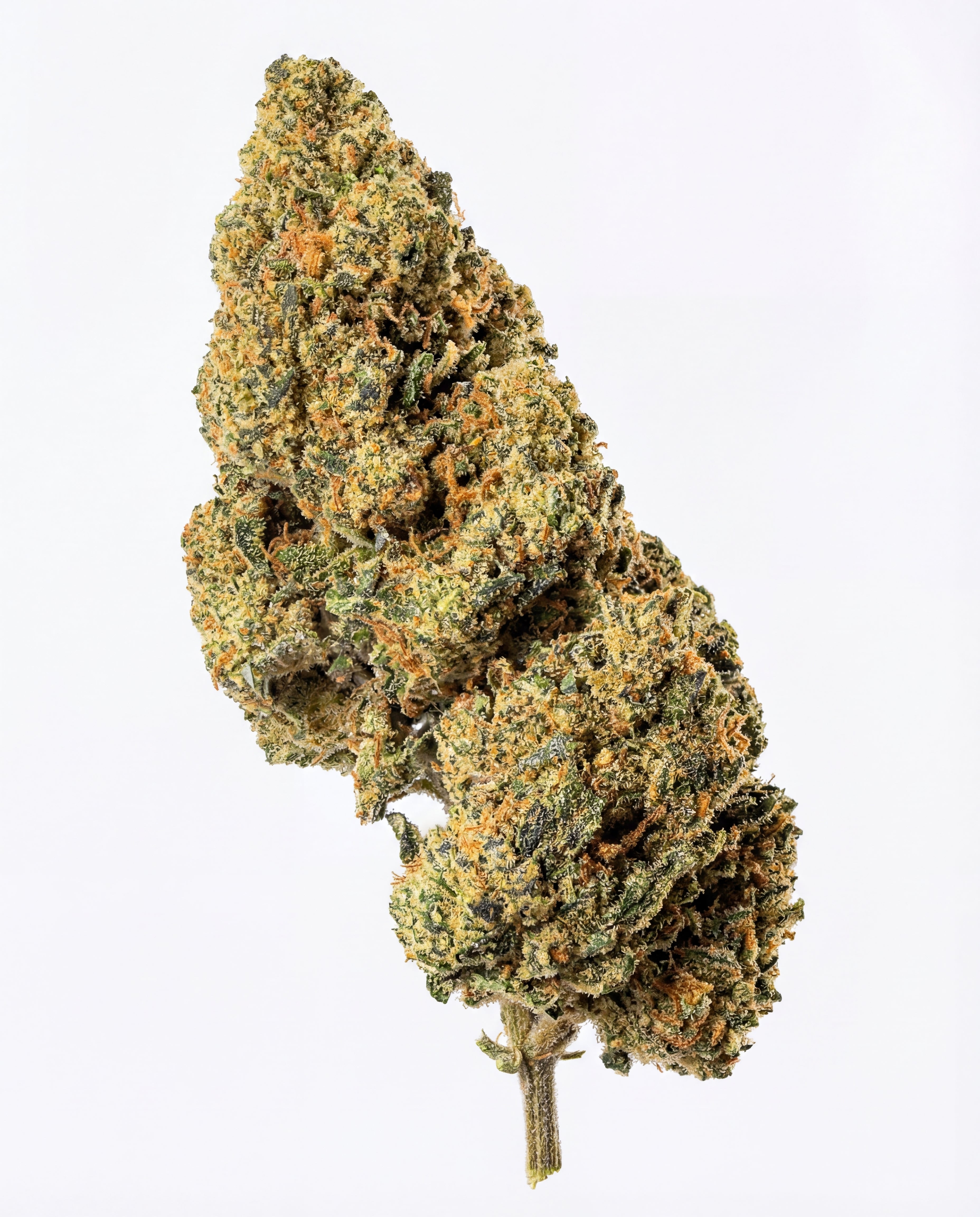 THC - X Květy Orange Bud