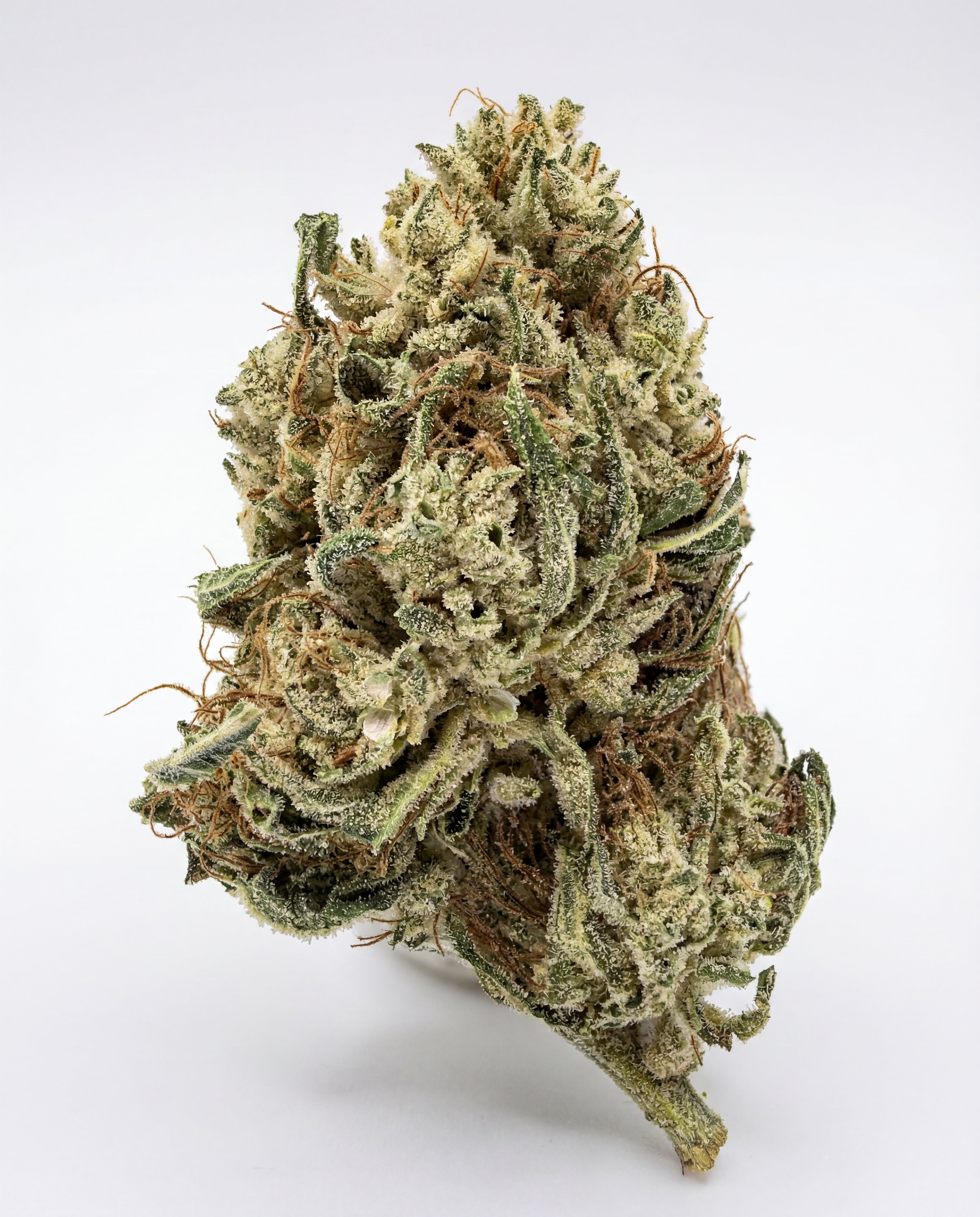 THC - X Květy Bubble Gum