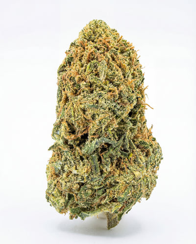 THC - X Květy Northern Lights